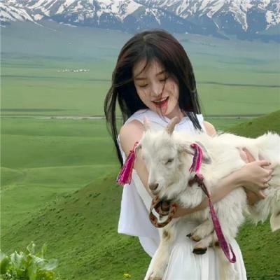 反贪风暴2